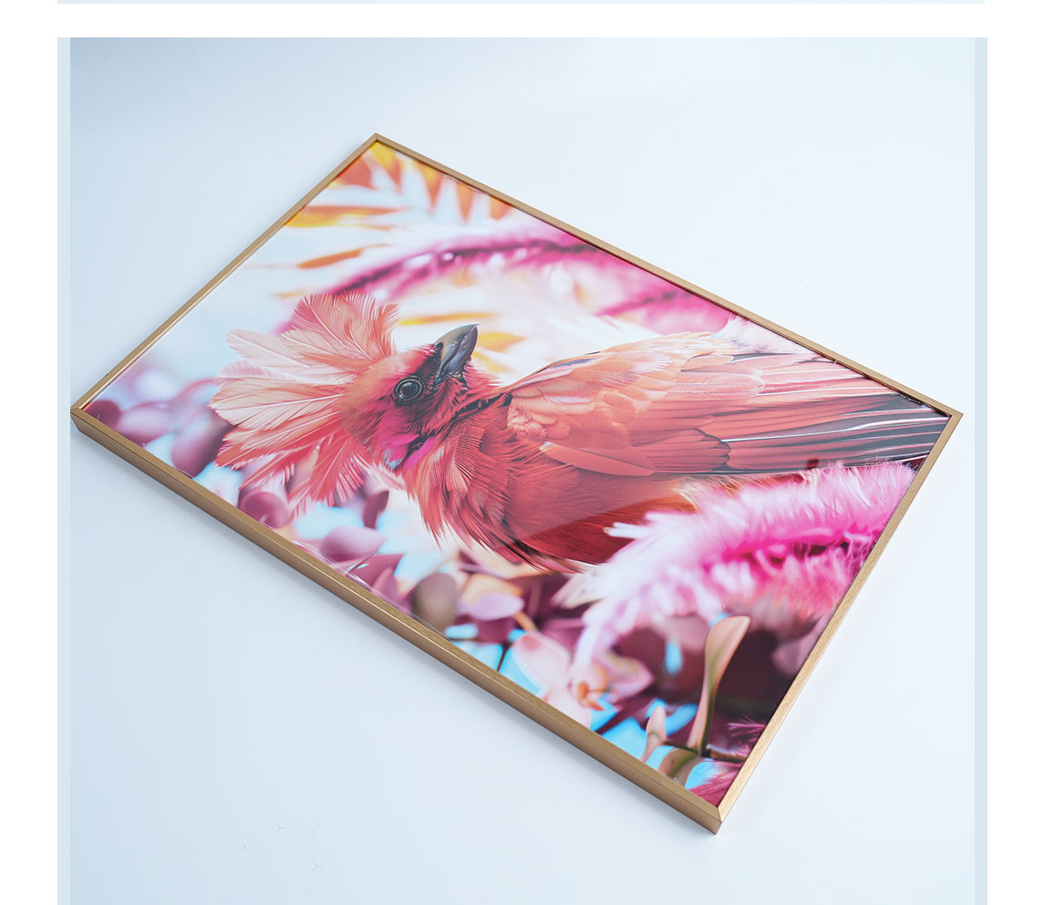 框画（开启框）